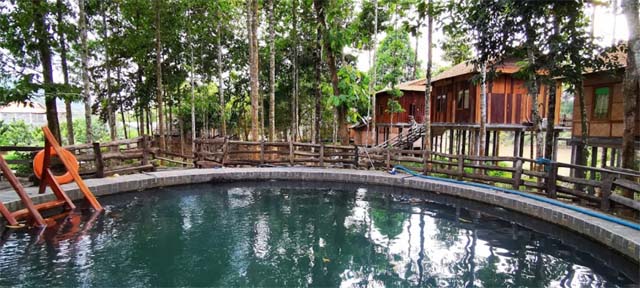 Green Bamboo Lodge