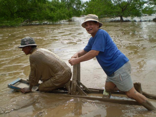 Cá bống sao Cù Lao Dung Sóc Trăng