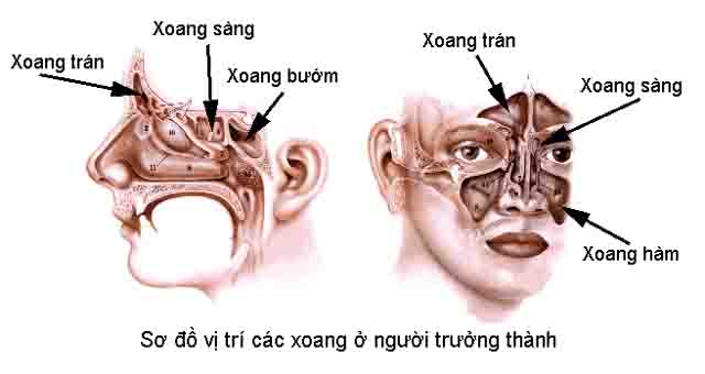 Viêm thanh quản kiêng ăn gì