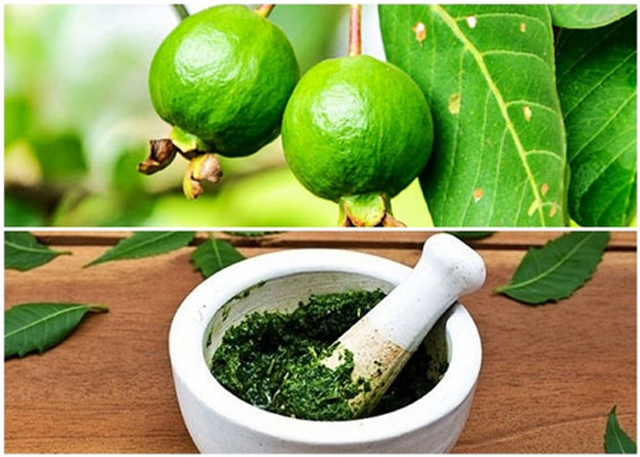Cách trị hôi nách tận gốc tại nhà