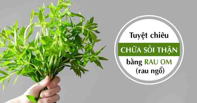 Cách trị sỏi thận