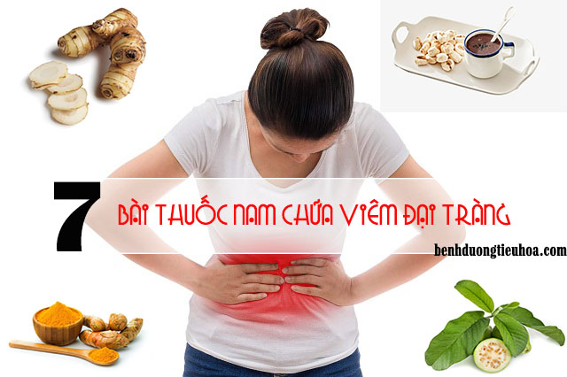 Cây thuốc nam chữa bệnh viêm đại tràng