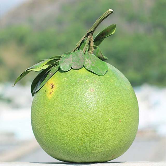 Chọn bưởi để làm món gà hấp