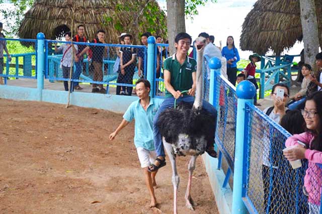 Cưỡi đà điểu Khu Du Lịch Vinh Sang