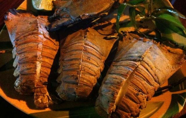 Đặc điểm tôm mũ ni