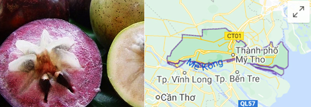 Đặc Sản Tiền Giang - Tổng hợp các loại đặc sản Tiền Giang