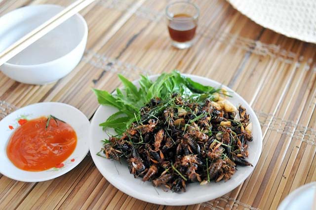 Dế chiên nước mắm món ngon dân dã Đồng Nai