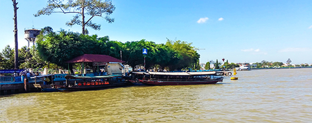 Có gì để khám phá và trải nghiệm ở Cù Lao An Bình Vĩnh Long