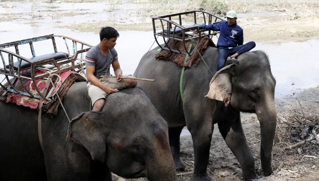 Buôn Đôn ở đâu