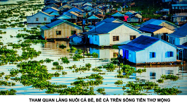 Du lịch cồn Thới Sơn tự túc