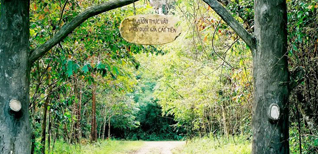 Giới thiệu hệ sinh thái vườn quốc gia Cát Tiên ở đâu, thuộc tỉnh nào, tour đi rừng cắm trại 