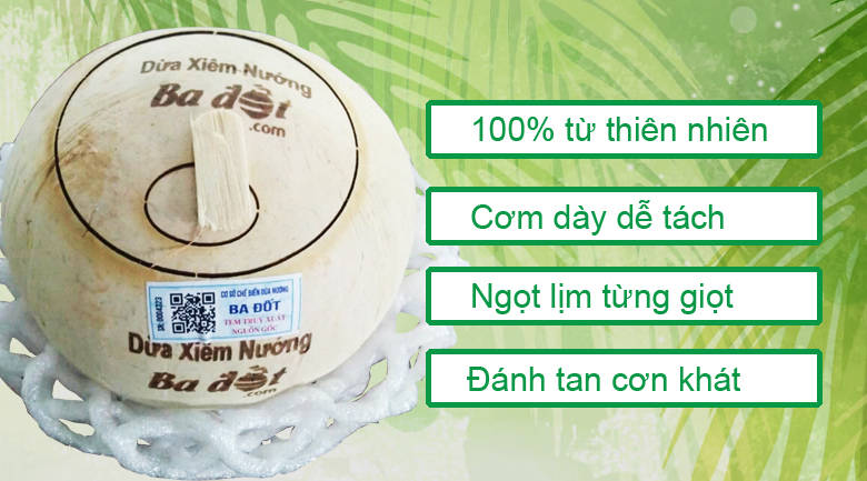 Dừa xiêm nướng ba đố