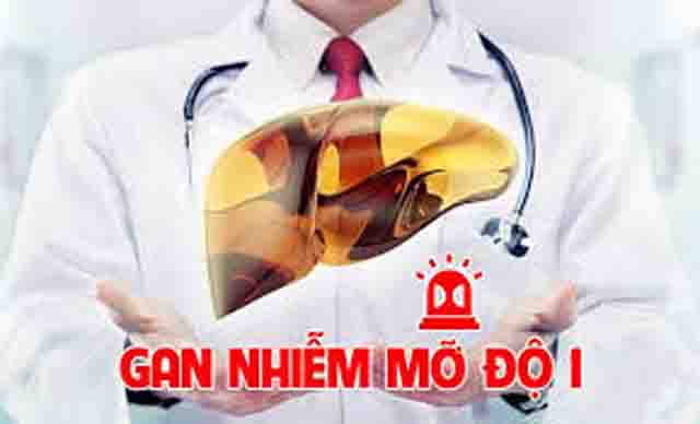 Bệnh gan nhiễm mỡ độ 1