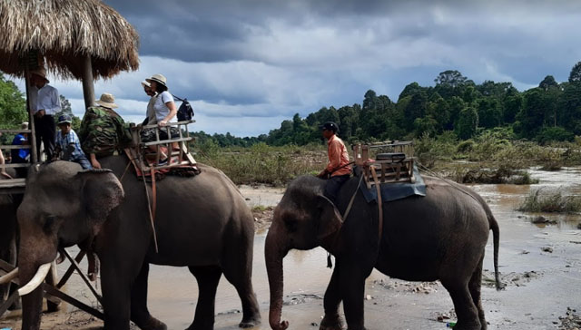 Giá vé Buôn Đôn