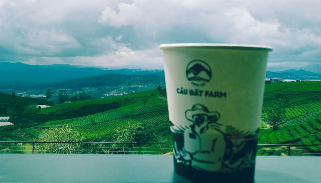 Giá vé Đồi Chè Cầu Đất