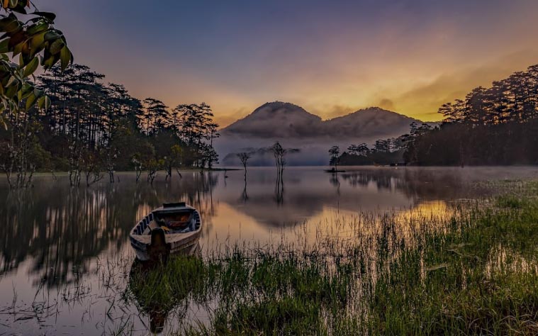 Giá vé Rừng lá phong