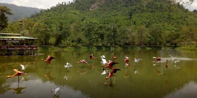 Giá vé Thác Yang Bay