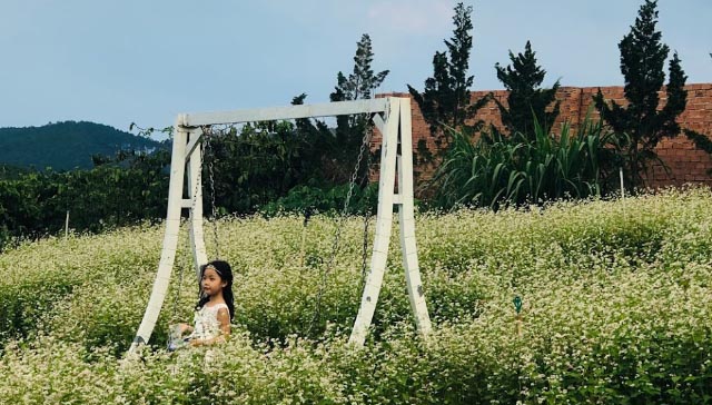 Giá vé Vườn Hoa Đà Lạt