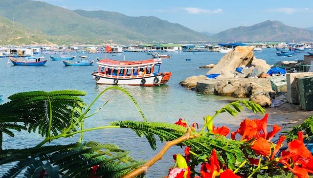 Giá vé Đảo Bình Hưng