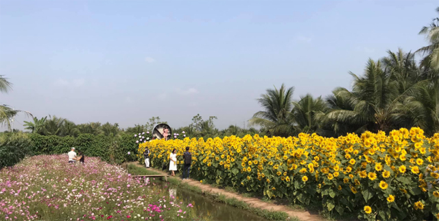 Giới thiệu Ao Sen Gò Me Tiền Giang