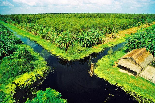 Cồn Ông Trang hệ sinh thái