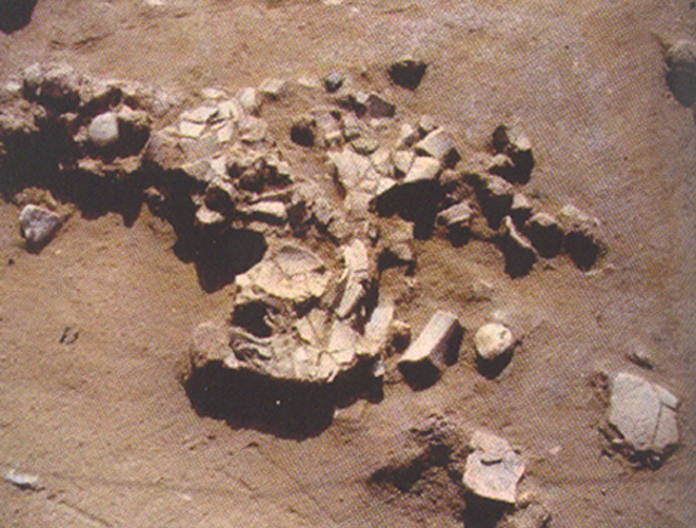 Hiện vật khảo cổ học Mỹ Lộc