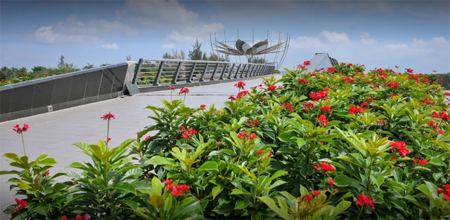 Hoa cầu tình yêu, Cần Thơ