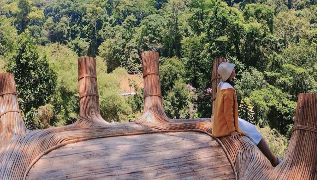 Hoa Sơn Điền Trang có gì
