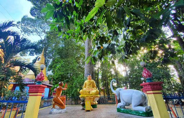 Không gian chùa hạnh phúc tăng vĩnh long