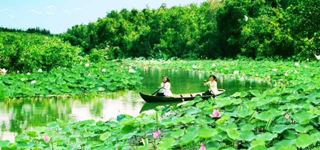 Khu bảo tồn đất ngập nước Láng Sen