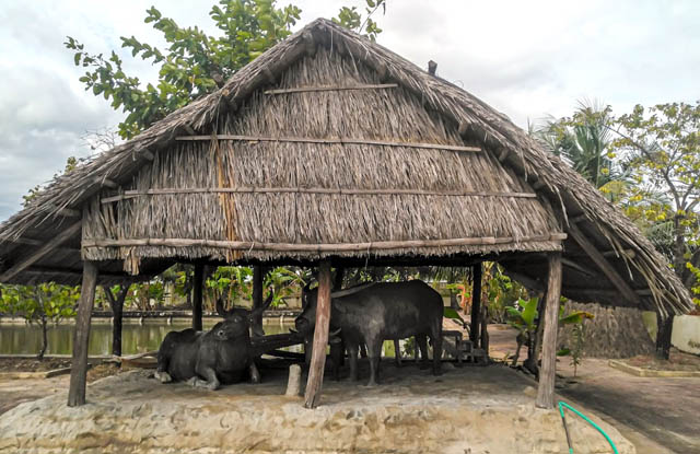 Khung cảnh khu di tích Lung Lá