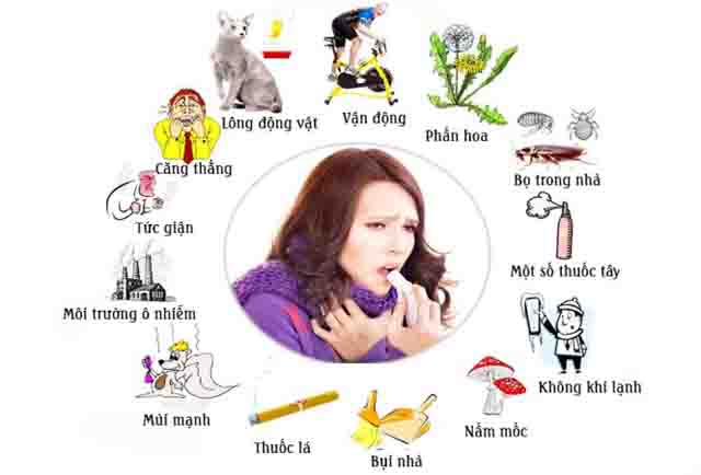 Hen suyễn - Nguyên nhân gây hen suyễn hàng ngày