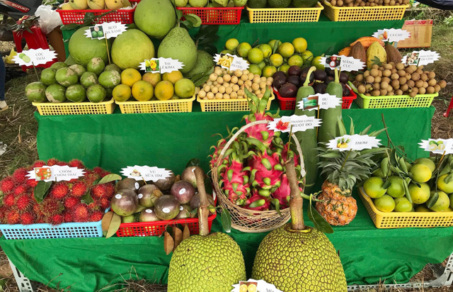 Ngày lễ tết đoan ngọ Cồn Mỹ Phước Sóc Trăng