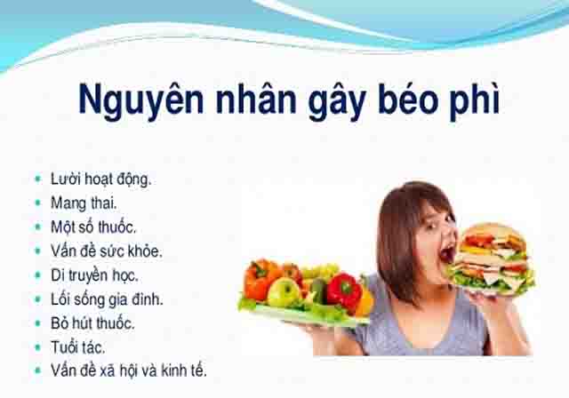 Nguyên nhân béo phì