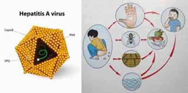 Nhà vệ sinh công cộng - Những bệnh tật dễ mắc khi dùng nhà vệ sinh công cộng
