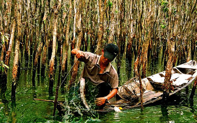 Phượt rừng u minh hạ