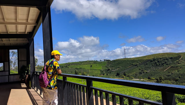 Review Đồi Chè Cầu Đất