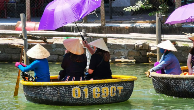 Review Rừng Dừa Bảy Mẫu