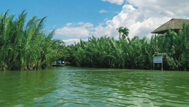 Rừng Dừa Bảy Mẫu ở đâu