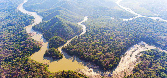Giới thiệu hệ sinh thái vườn quốc gia Cát Tiên ở đâu, thuộc tỉnh nào, tour đi rừng cắm trại 