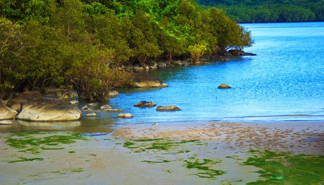 Rạng San Hô Hòn Bà