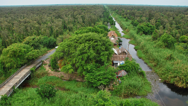 Rừng tràm u minh hạ