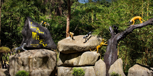 Thác Yang Bay có gì hay