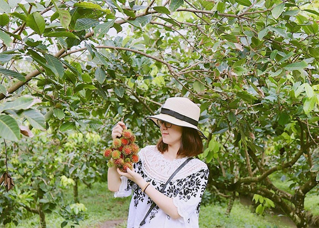 Thời điểm tốt nhất để đi du lịch Cần Thơ cũng như tham quan miệt vườn trái cây