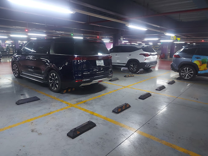 Thuê Xe Tự Lái Nyn Lâm