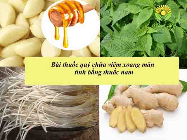Thuốc nam trị viêm xoang