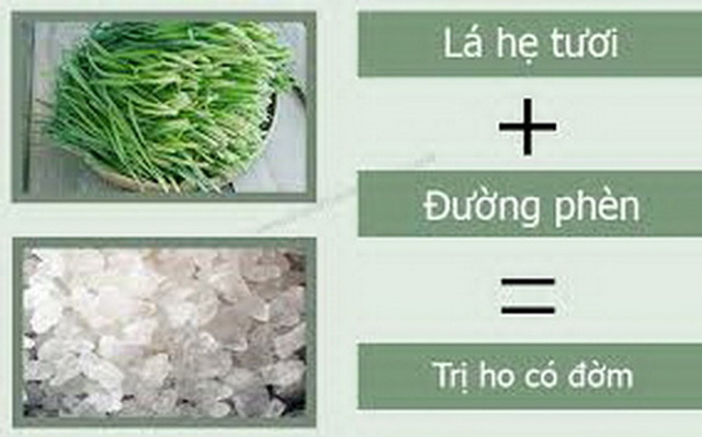 Thuốc trị ho có đờm hiệu quả