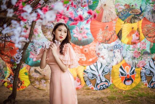 Chụp ảnh bên xe Ao Sen Gò Me hoa anh đào