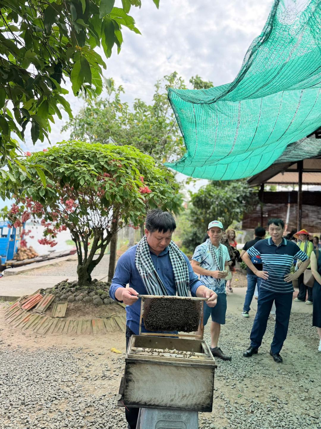 Tham quan trại ong lấy mật tại Cồn Phụng