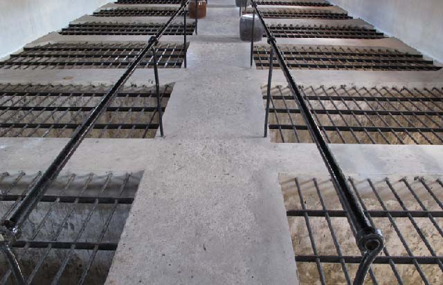 Trại Phú Tường – Don Luce